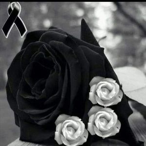 Meet your Posher, Francisco